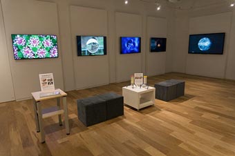 “My Neighbor Cosmos となりの宇宙”